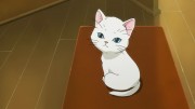 Kobato., ...la nana del gatito. - 2